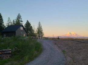Stunning Mt Rainier Views!tahoma Ridge Cottage